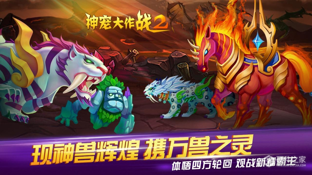 神宠大作战2