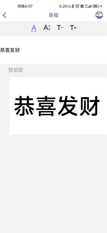 随身打app安卓版
