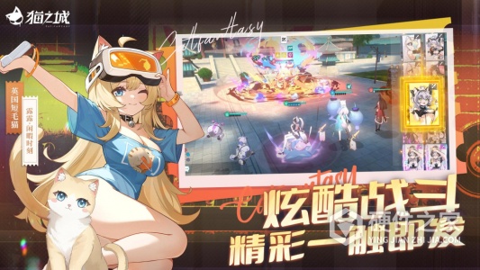 猫之城最新版