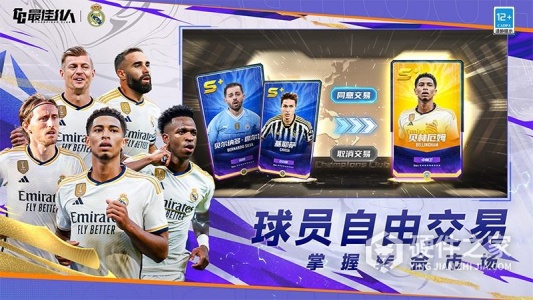 最佳11人百度版