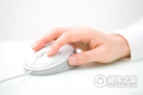 雷蛇毒蝰8KHz说明书