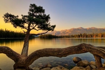 恢复删除照片数据的方法