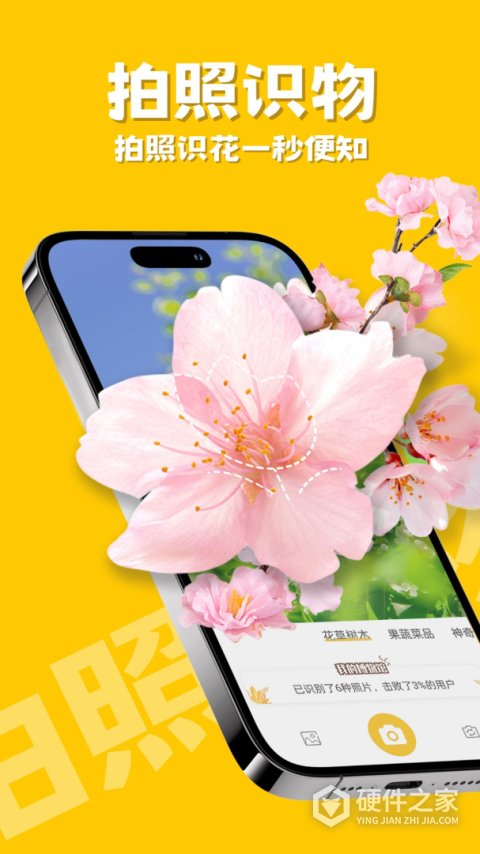 随手拍照识物app