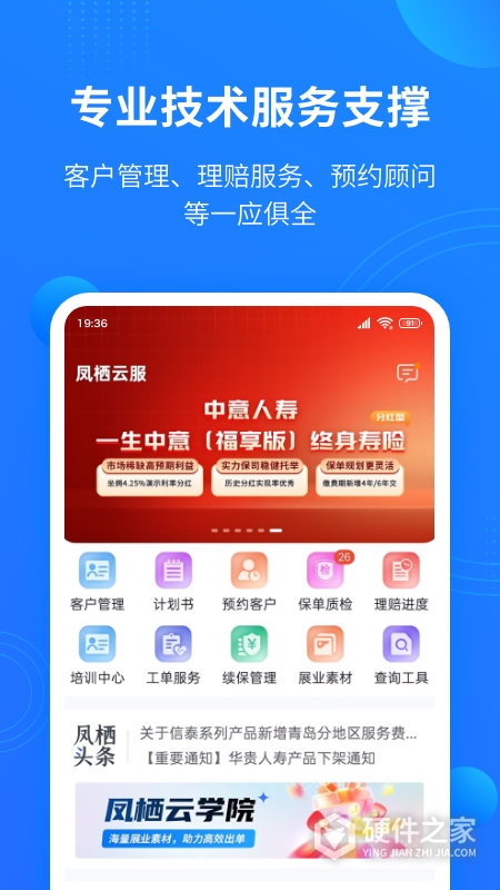 凤栖云服