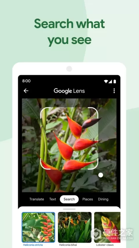 Google Photos app