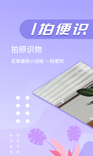 万图拍