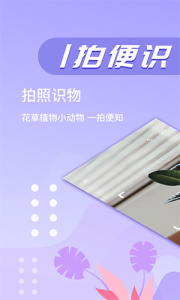 万图拍
