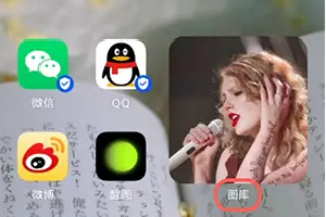 鸿蒙桌面图片上的字怎么去掉