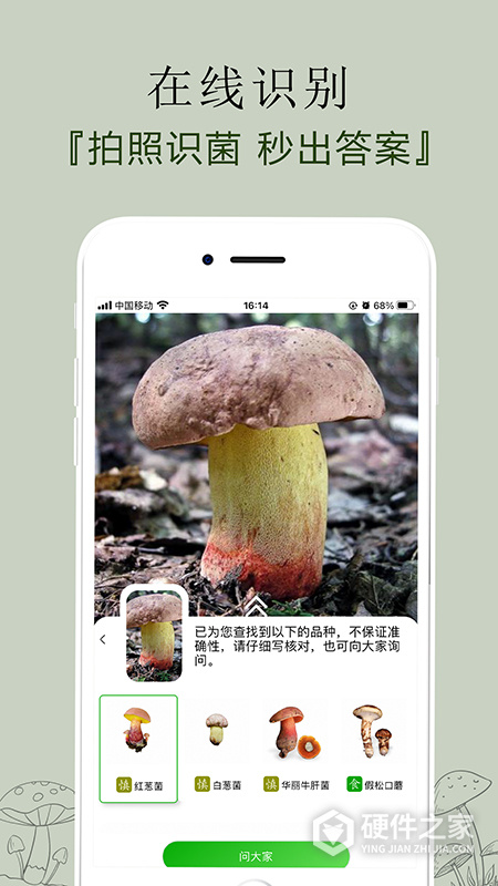 菌窝子app