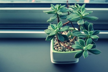 如何恢复华为保密柜数据