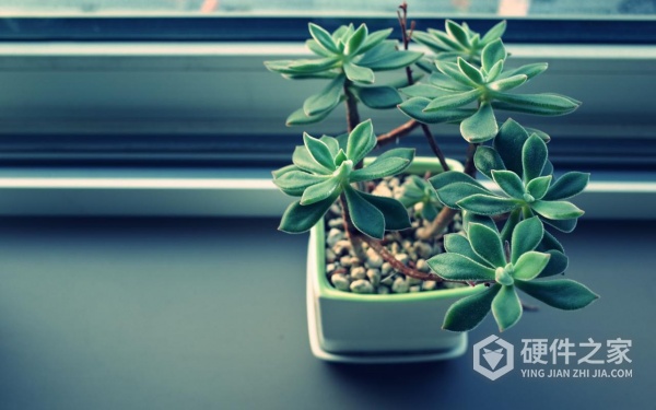 如何恢复华为保密柜数据