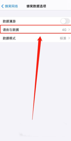 iphone12怎么设置5g网络