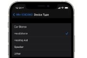 在 iPhone上按设备类型标记蓝牙配件的方法