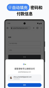 谷歌Chorm浏览器