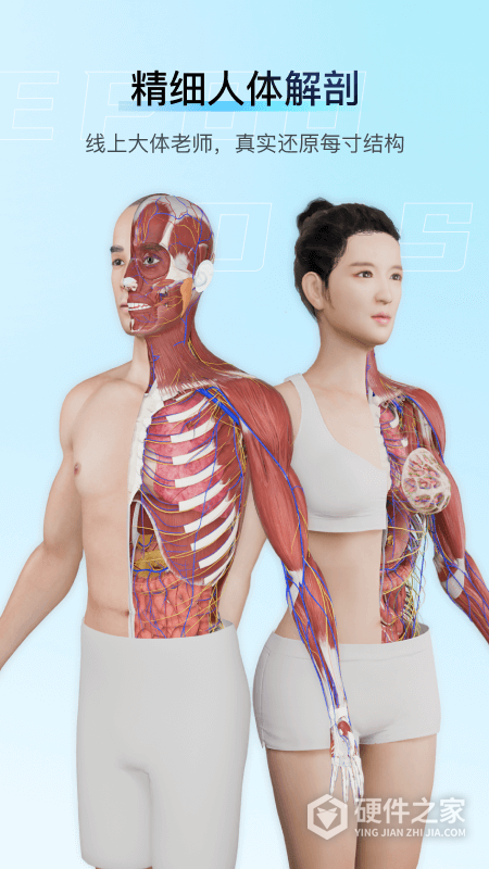 解剖大师
