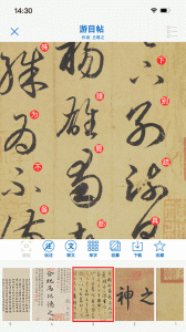 以观书法
