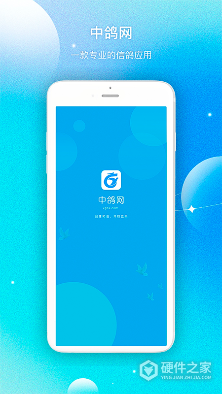 中鸽网