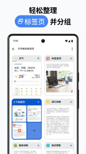 谷歌Chorm浏览器