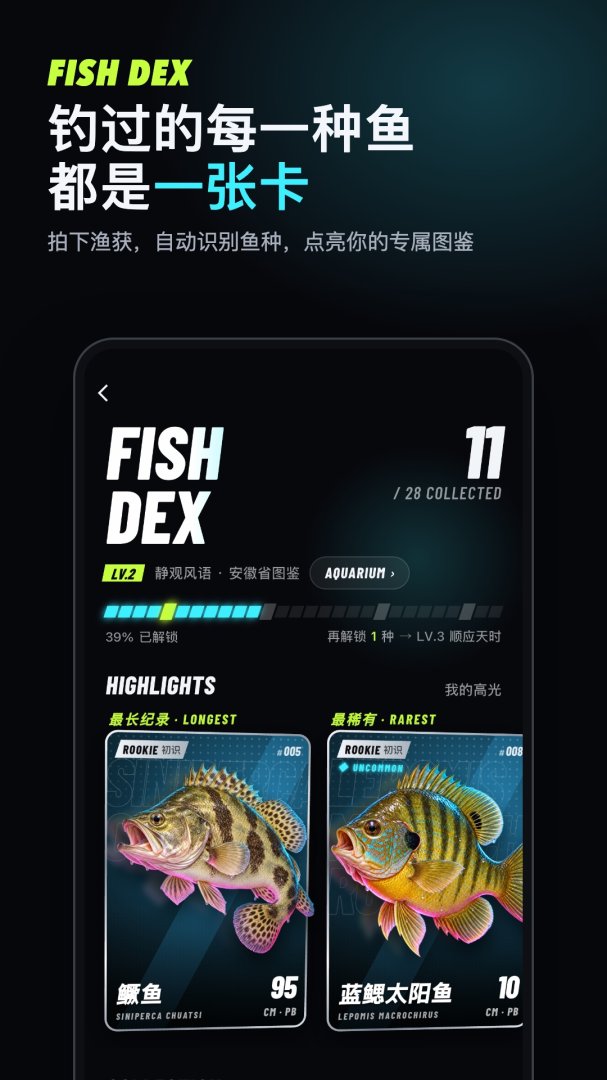 钓鱼佬最新版