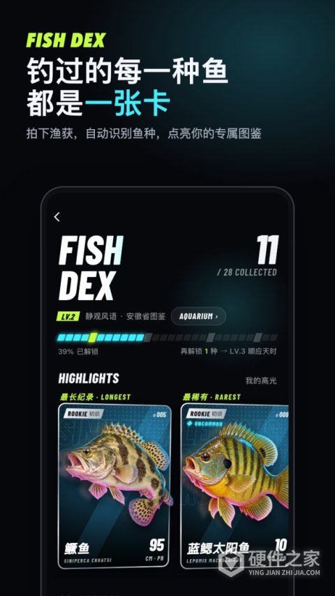 钓鱼佬最新版