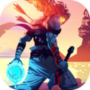 重生细胞网易版