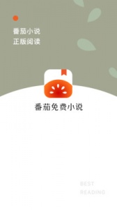 番茄免费小说安全版