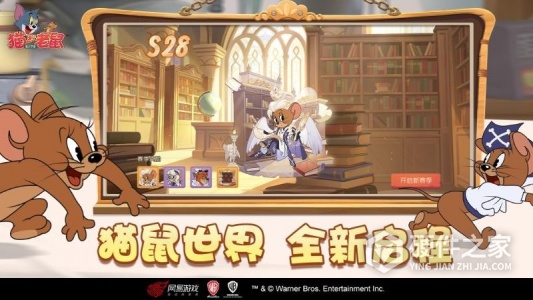 猫和老鼠