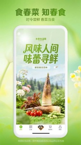 本来生活