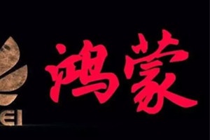 鸿蒙系统怎么快速开启健康码