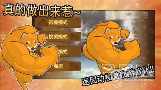 动物之斗