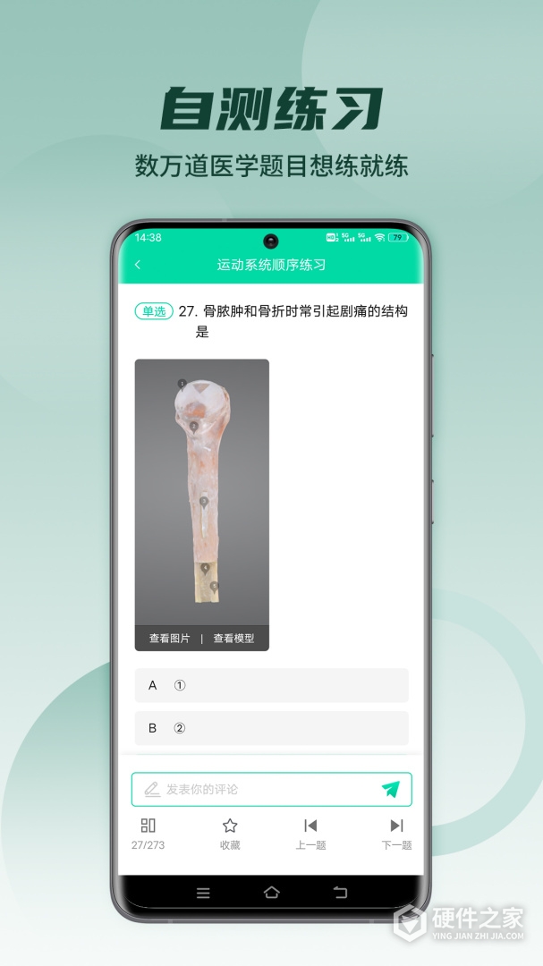 医维度解剖