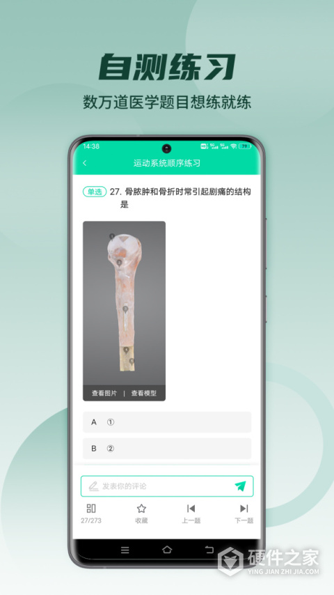 医维度解剖