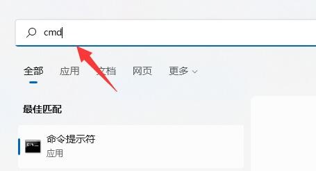 Windows 11硬盘读写速度慢怎么解决介绍