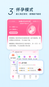 美柚