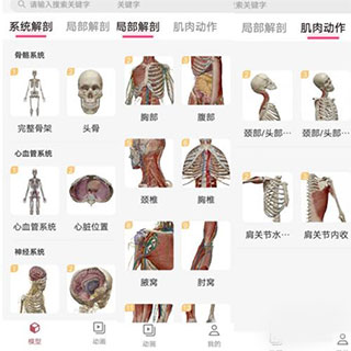 3Dbody解剖app