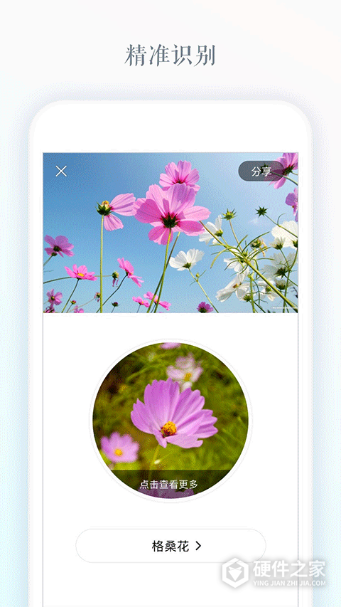 识花