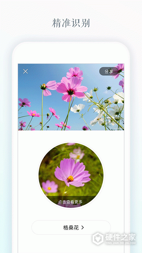 识花手机软件