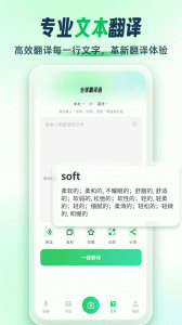 全球翻译通