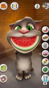 会说话的汤姆猫老版本