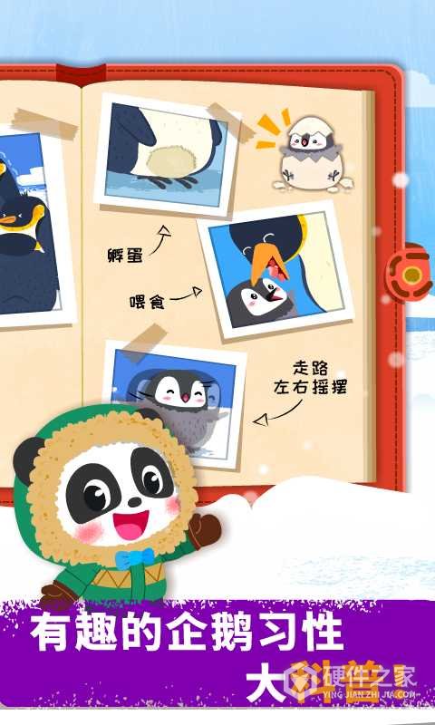 奇妙企鹅部落