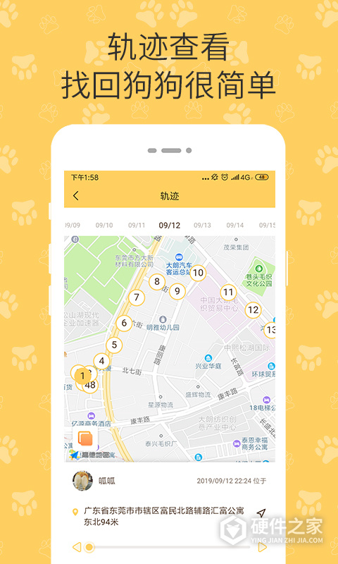 陪彼宠物