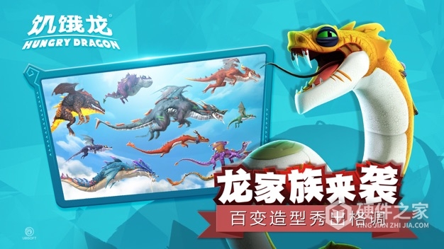 饥饿龙国际服