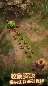 小小蚁国渠道服