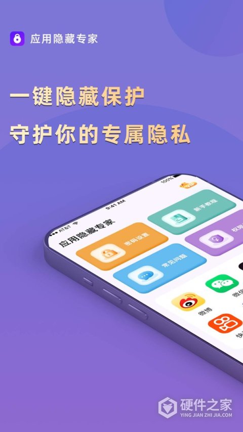 应用隐藏专家