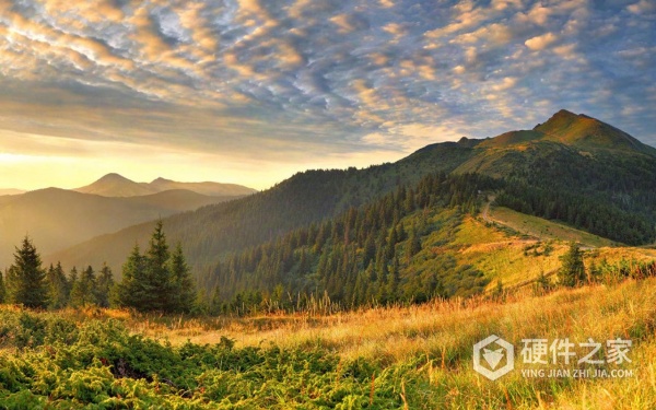 如何恢复别人发的图片失效了