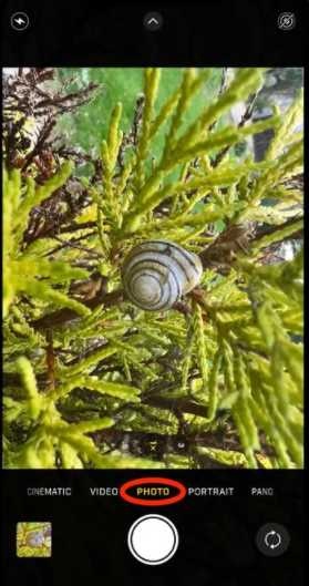 iphone13pro怎么打开微距