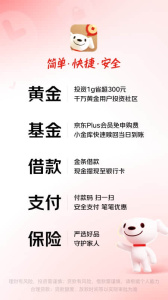 京东金融大字版