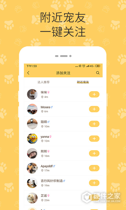 陪彼宠物