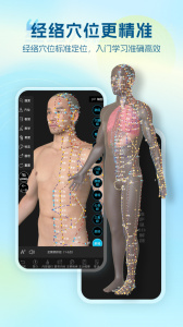 维萨里3D解剖