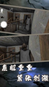 恐怖奶奶2九游版